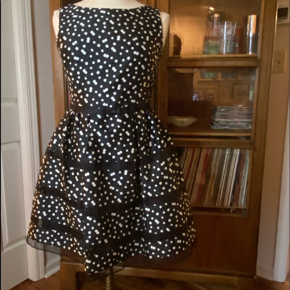 Lovely Taylor Fit & Flare Polka Dot Dress